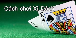 Cách chơi xì dách