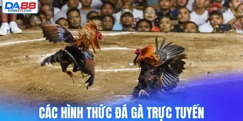 Các hình thức đá gà trực tuyến được yêu thích