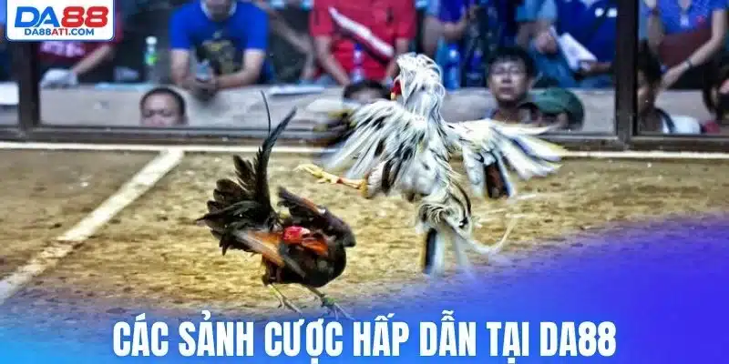 Các sảnh cược hấp dẫn tại Da88