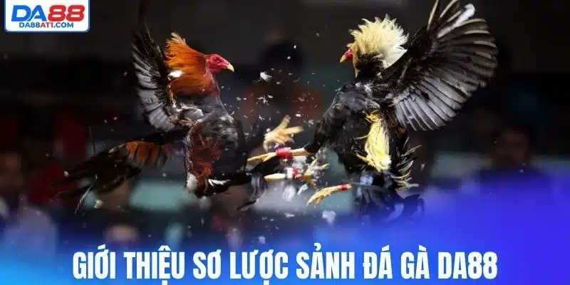Giới thiệu sơ lược sảnh đá gà Da88