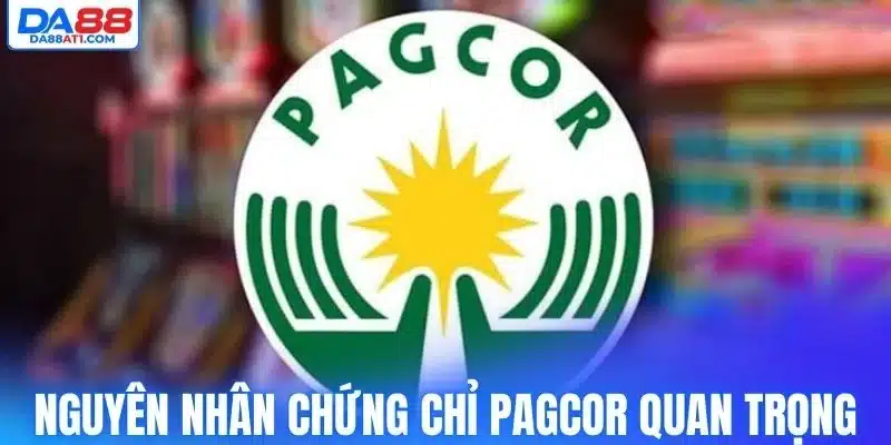 Nguyên nhân chứng chỉ PAGCOR quan trọng 